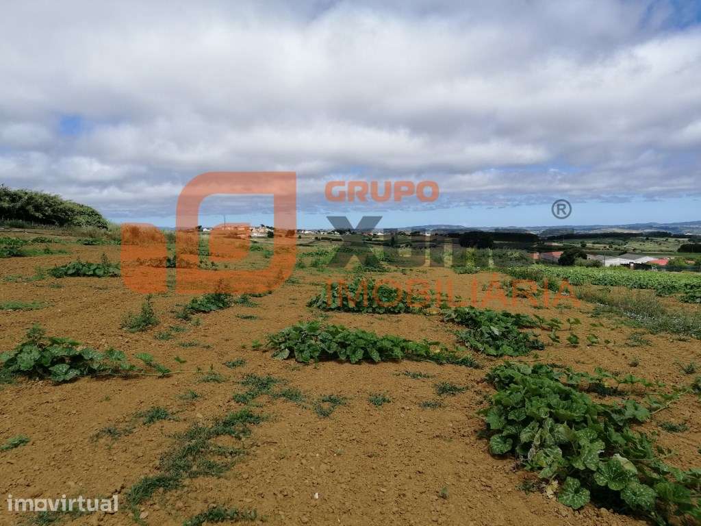 Fantástico terreno com viabilidade para construção de uma ou mais m... - Grande imagem: 3/11