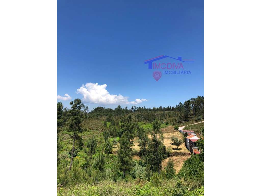 Terreno Rústico com uma área total de 22800m2. - Grande imagem: 3/13
