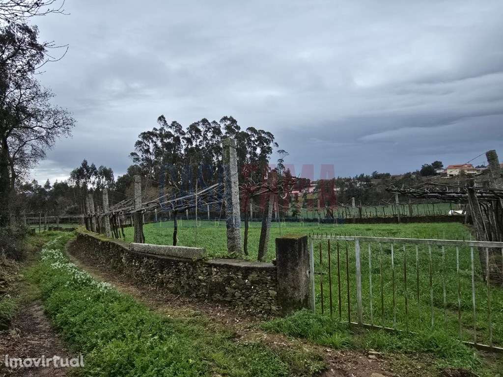 Terreno Agrícola em Fradelos - Excelente Oportunidade! - Grande imagem: 2/4