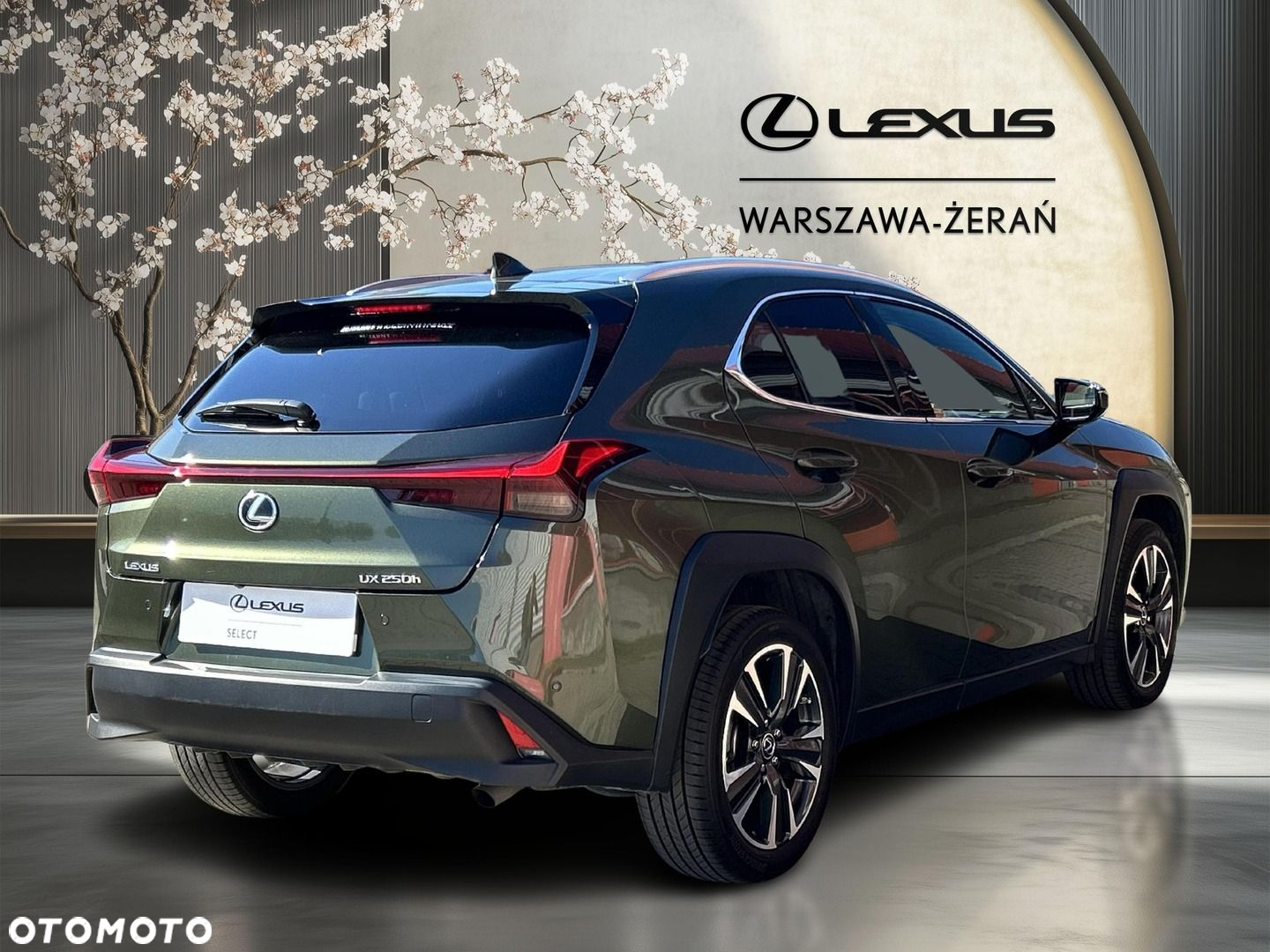 Lexus UX 250h GPF Business 2WD - 7