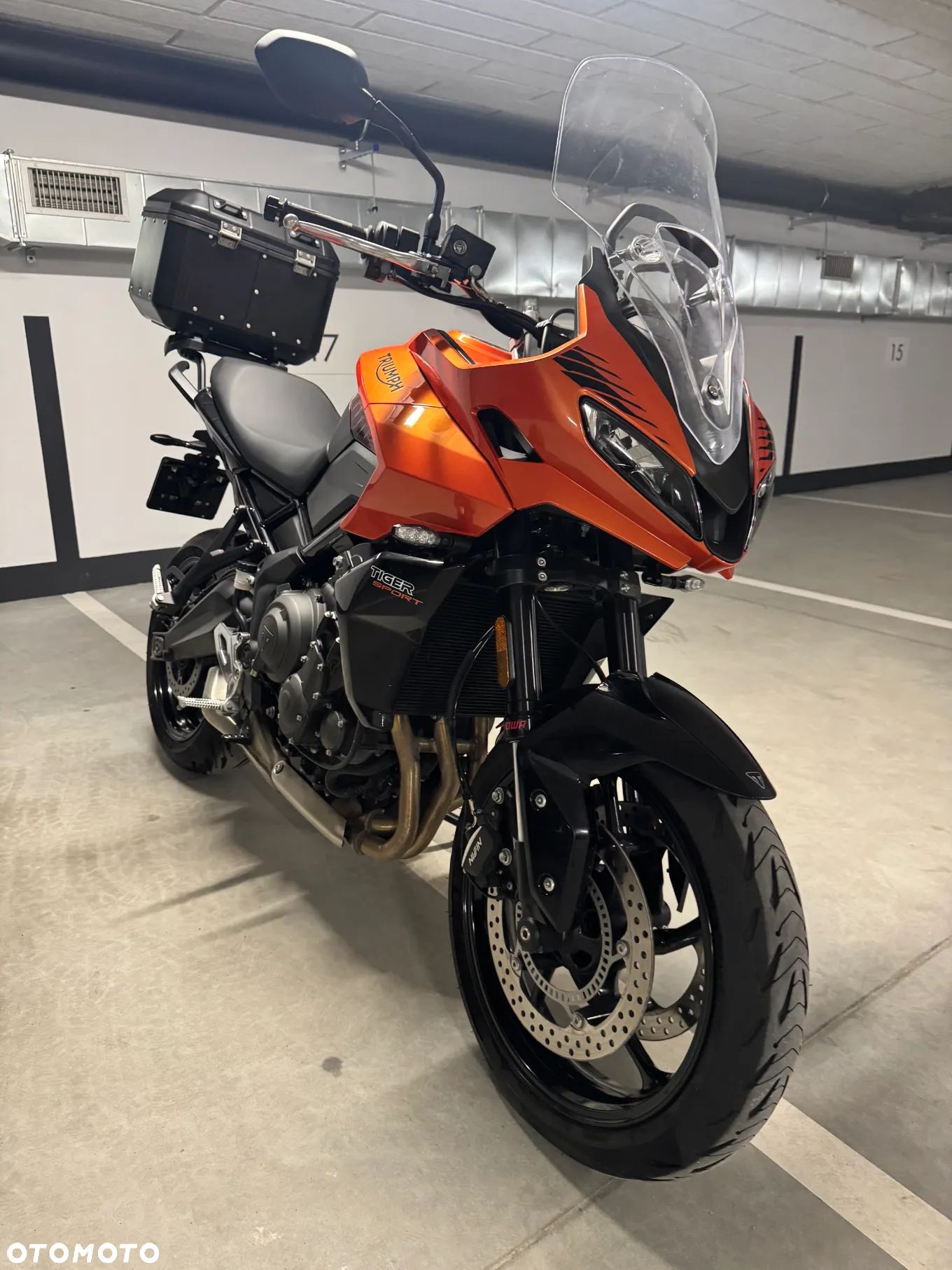 Triumph Tiger - 1