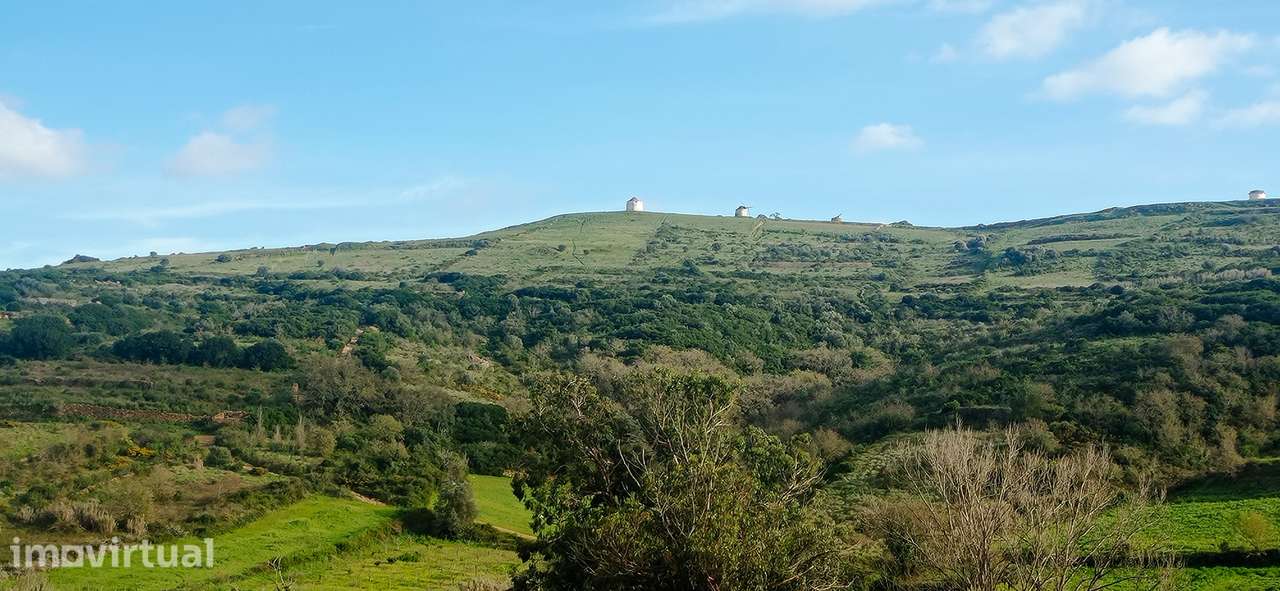 Terreno Rústico  Venda em São João das Lampas e Terrugem,Sintra - Grande imagem: 3/12