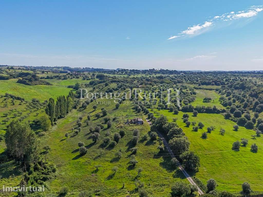 Quinta de 8 hectares com construção para recuperar, Torres Novas - Grande imagem: 4/35
