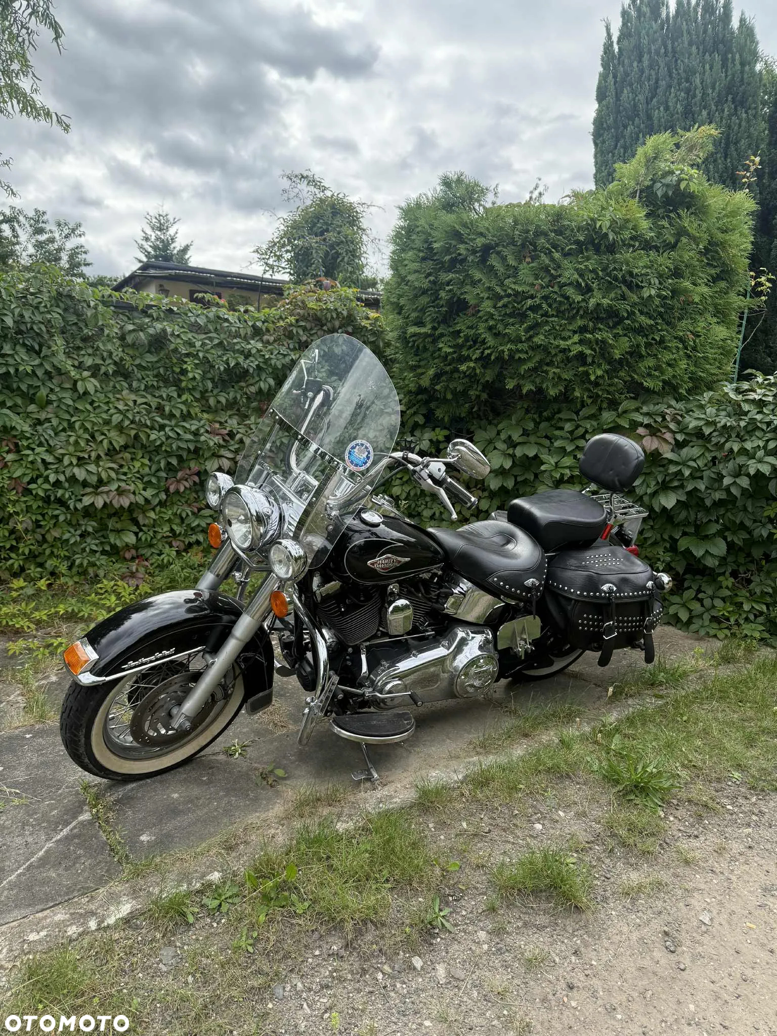 Harley-Davidson Softail Deluxe - 2