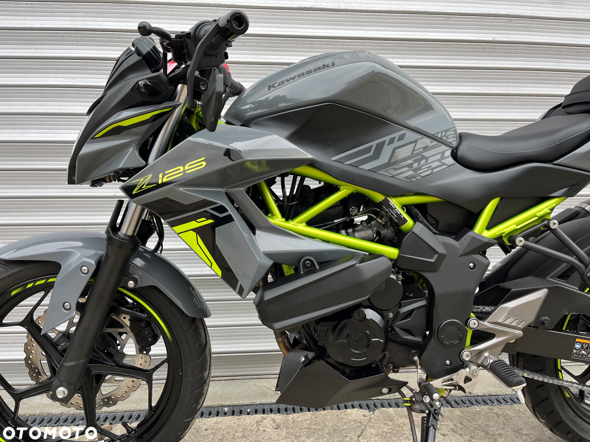 Kawasaki Z - 31