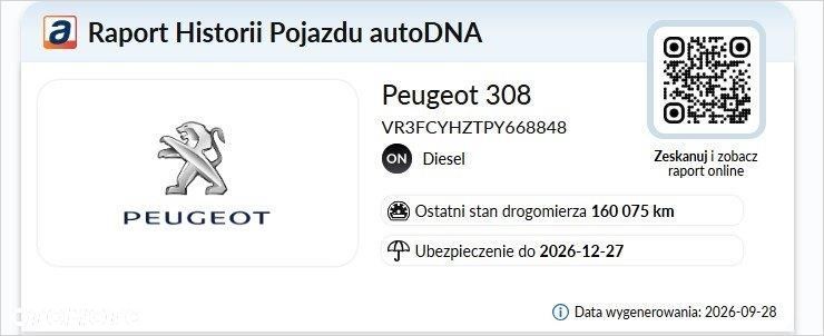 Peugeot 308 1.5 BlueHDi Active Pack S&S EAT8 - 20