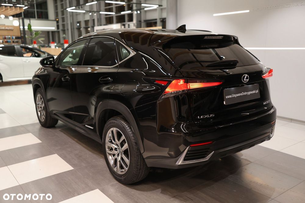 Lexus NX - 6
