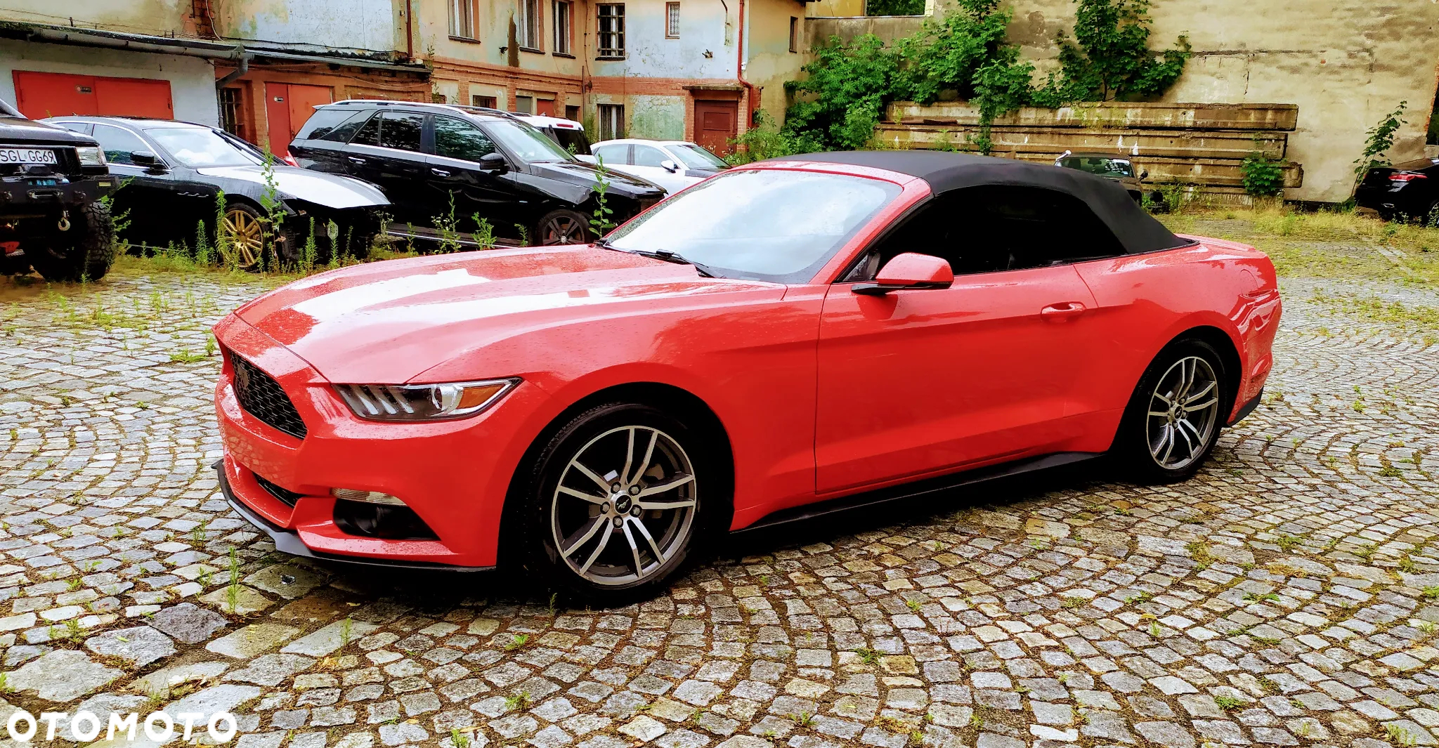 Ford Mustang 2.3 EcoBoost - 6