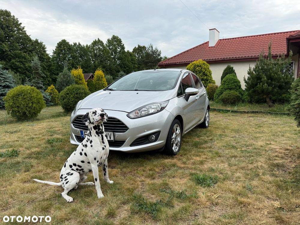 Ford Fiesta - 1