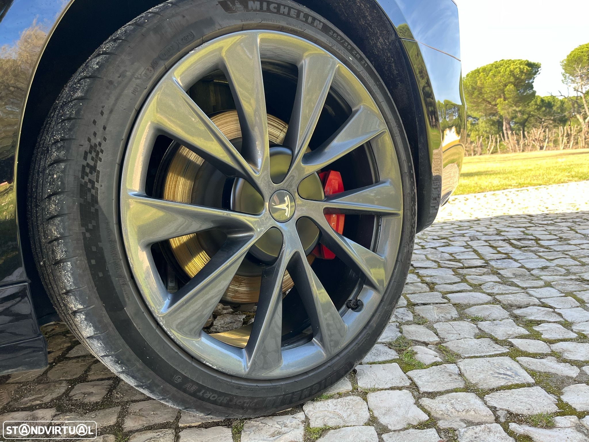 Tesla Model S Performance - 11