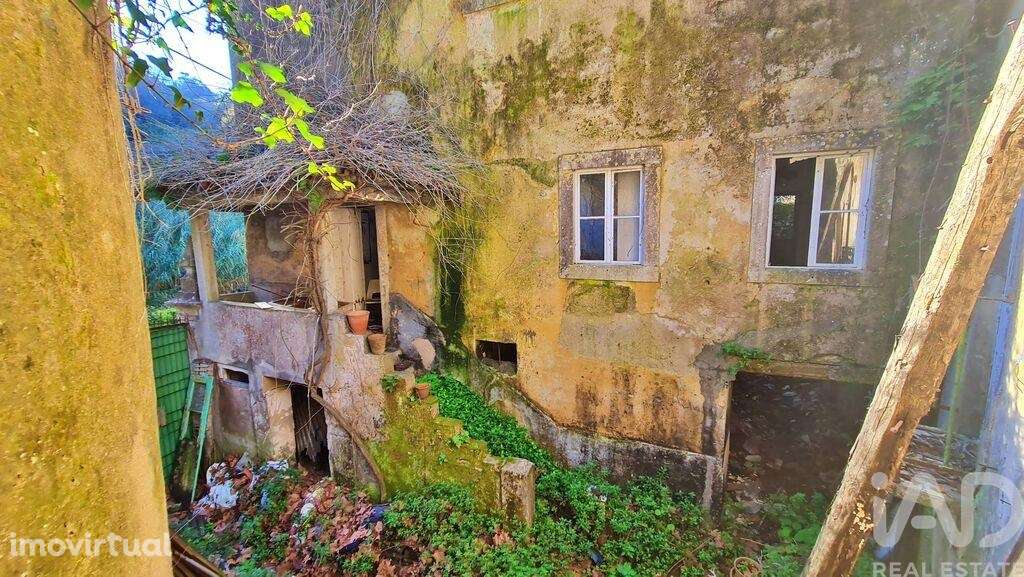 Casa de Campo T4 em Sintra (Santa Maria e São Miguel, São Martinho e S - Grande imagem: 4/27