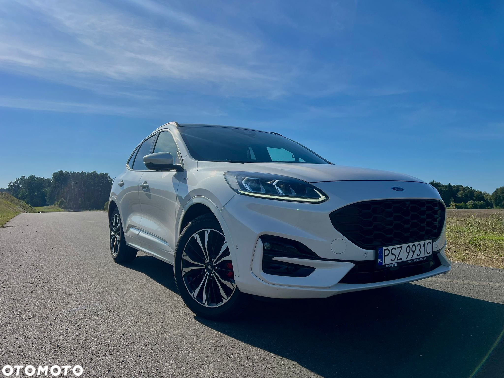 Ford Kuga 2.0 EcoBlue 4x4 ST-LINE - 2