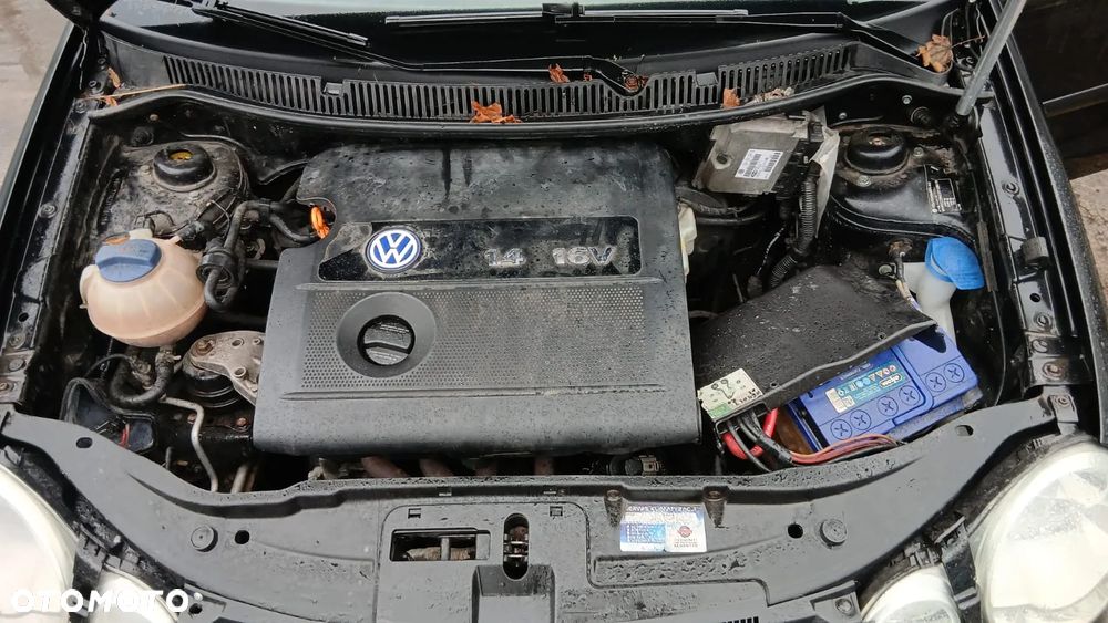 Tylko części VW Polo 9N IV 1.4 16V BBY 75KM 55kW HB 5D 01-05 lakier LC9Z - 10