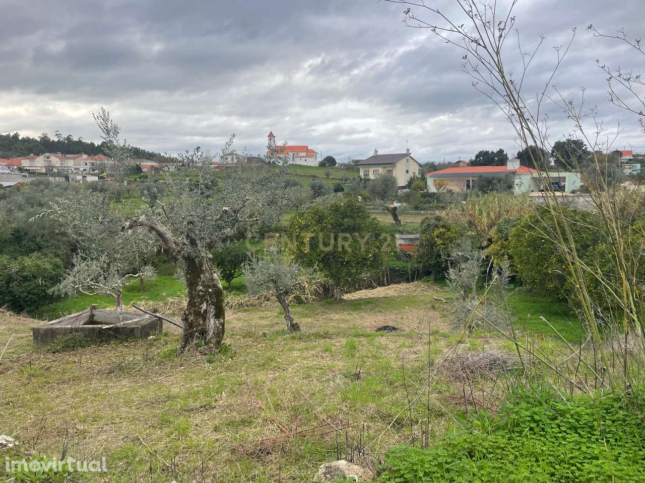 Terreno em Martinchel, Abrantes - Grande imagem: 2/11