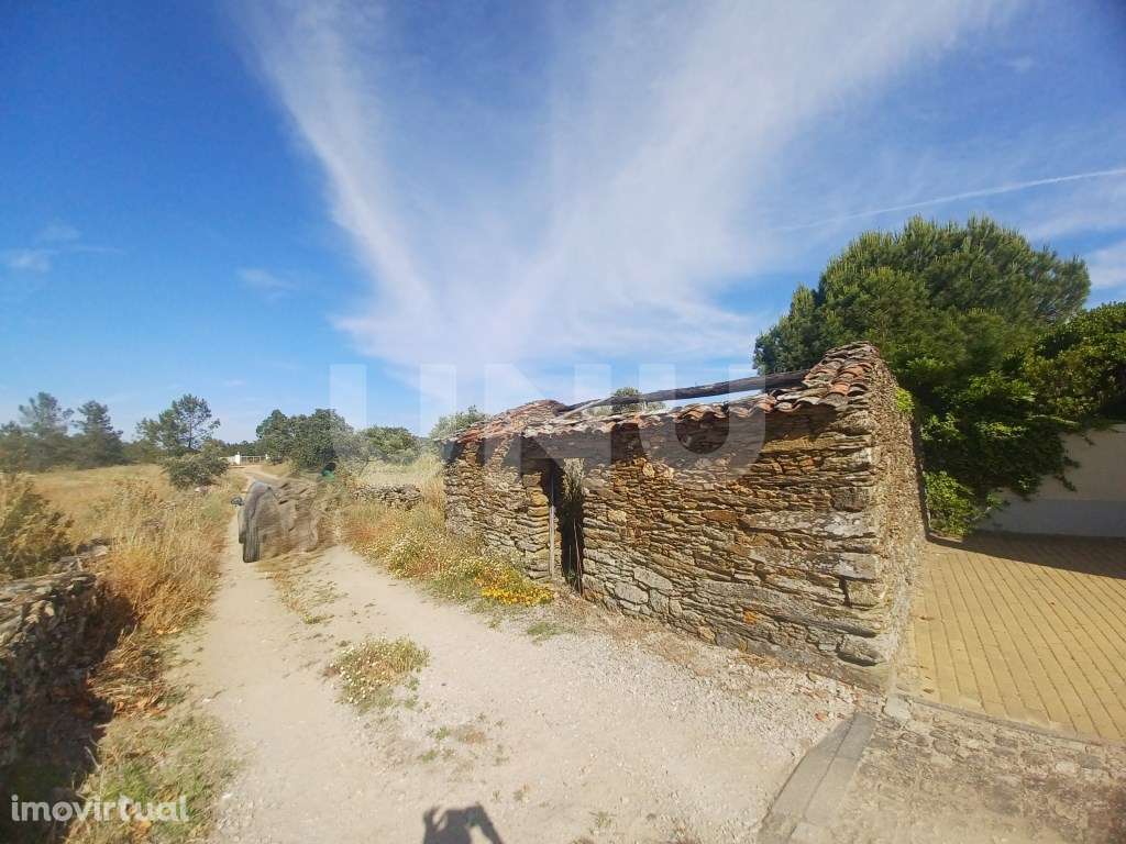 Terreno rústico com 8.160m2 em Sarnadas de Ródão - Grande imagem: 4/4
