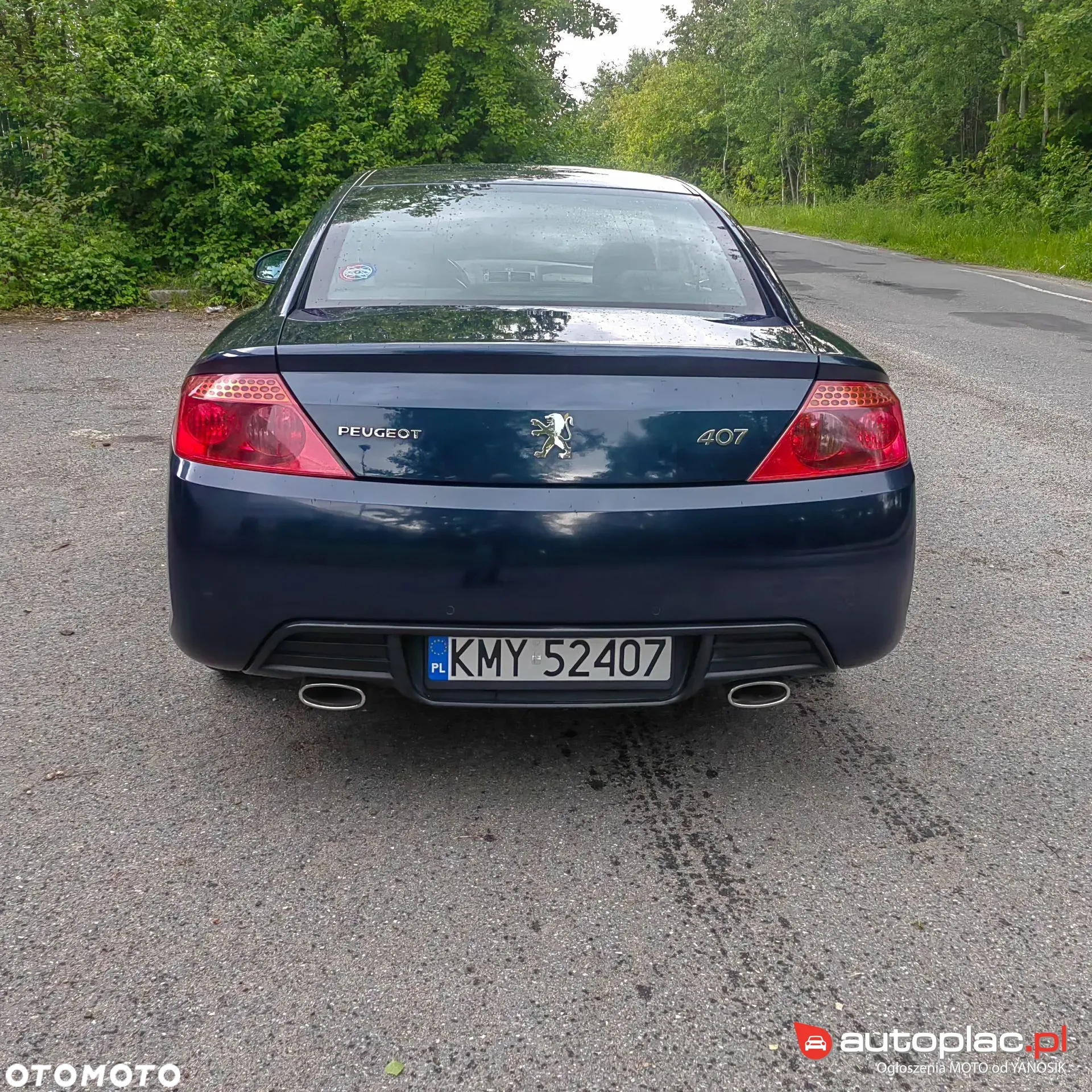 Peugeot 407 - 8