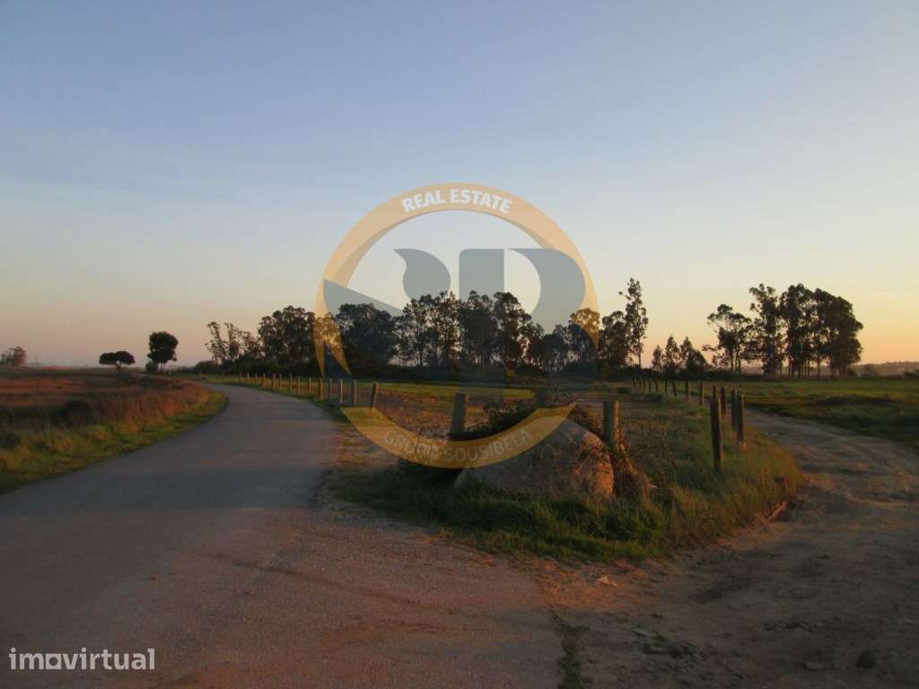 Terreno Ovar - Grande imagem: 3/4