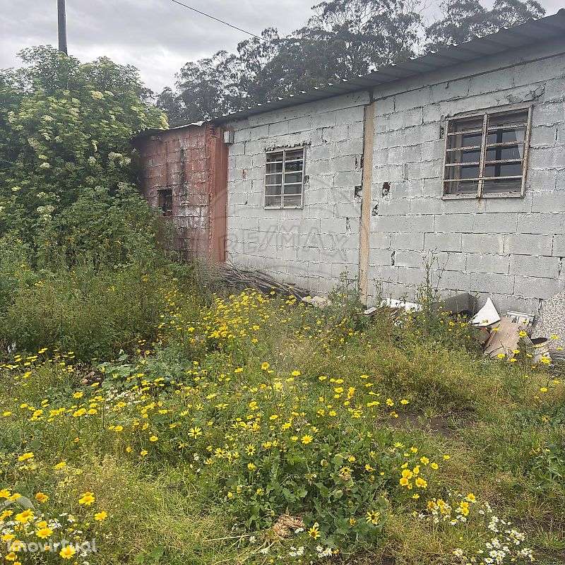 Armazém  para arrendamento - Grande imagem: 2/9