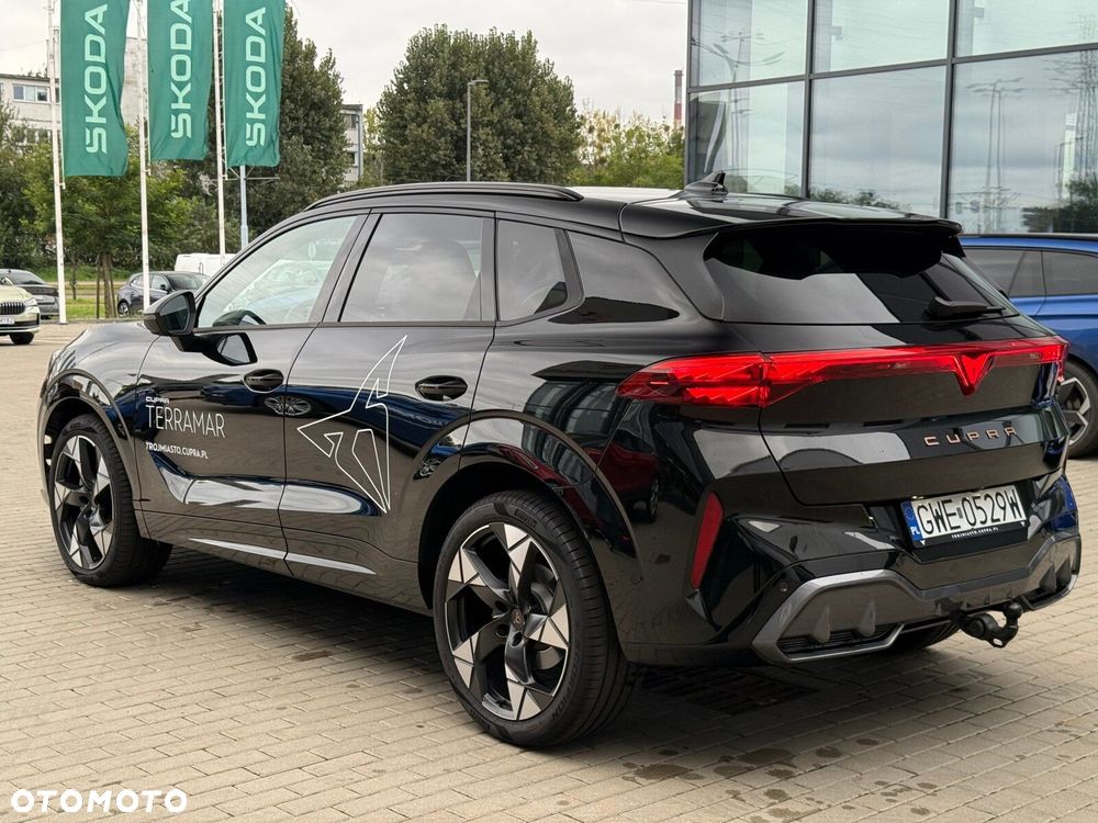Cupra Terramar - 18