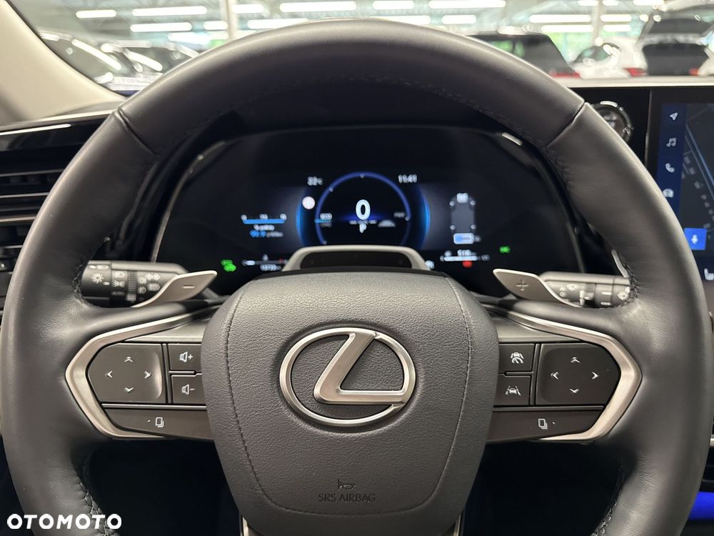 Lexus RX - 18