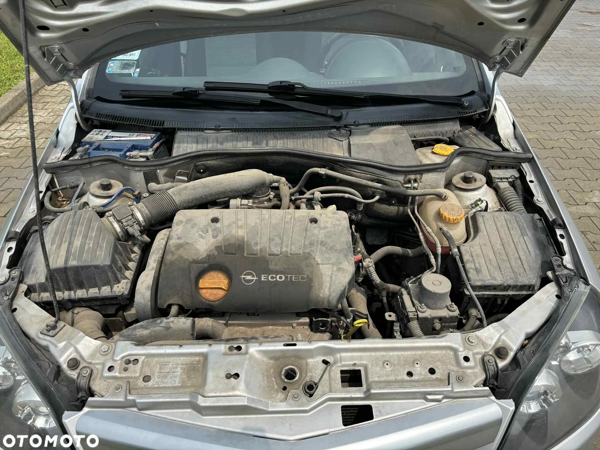Opel Tigra - 22