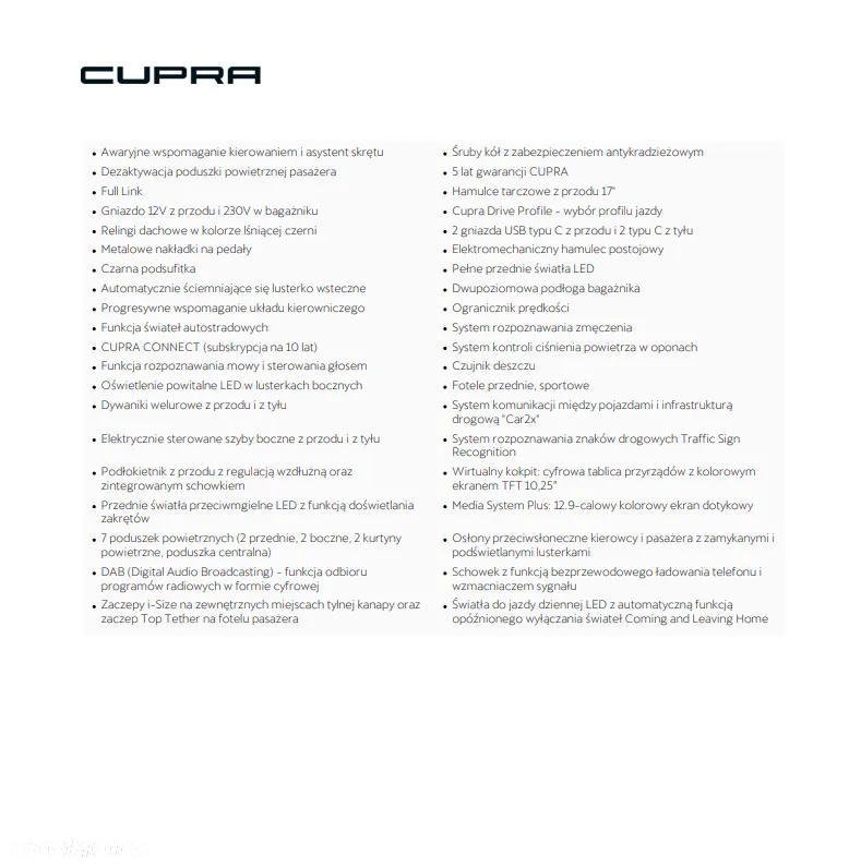 Cupra Terramar 2.0 TSI 4Drive DSG - 19