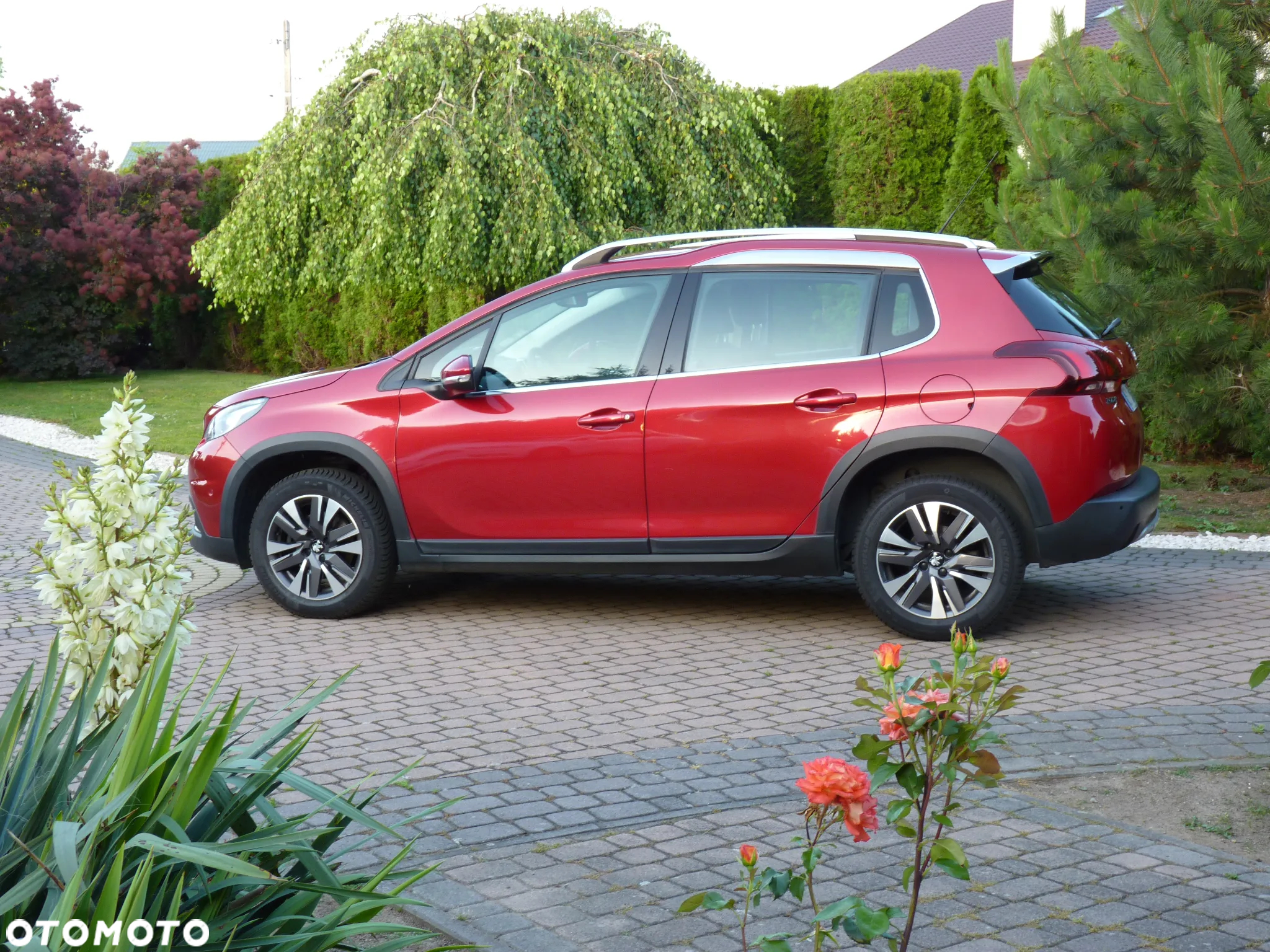 Peugeot 2008 1.5 BlueHDi Allure - 4