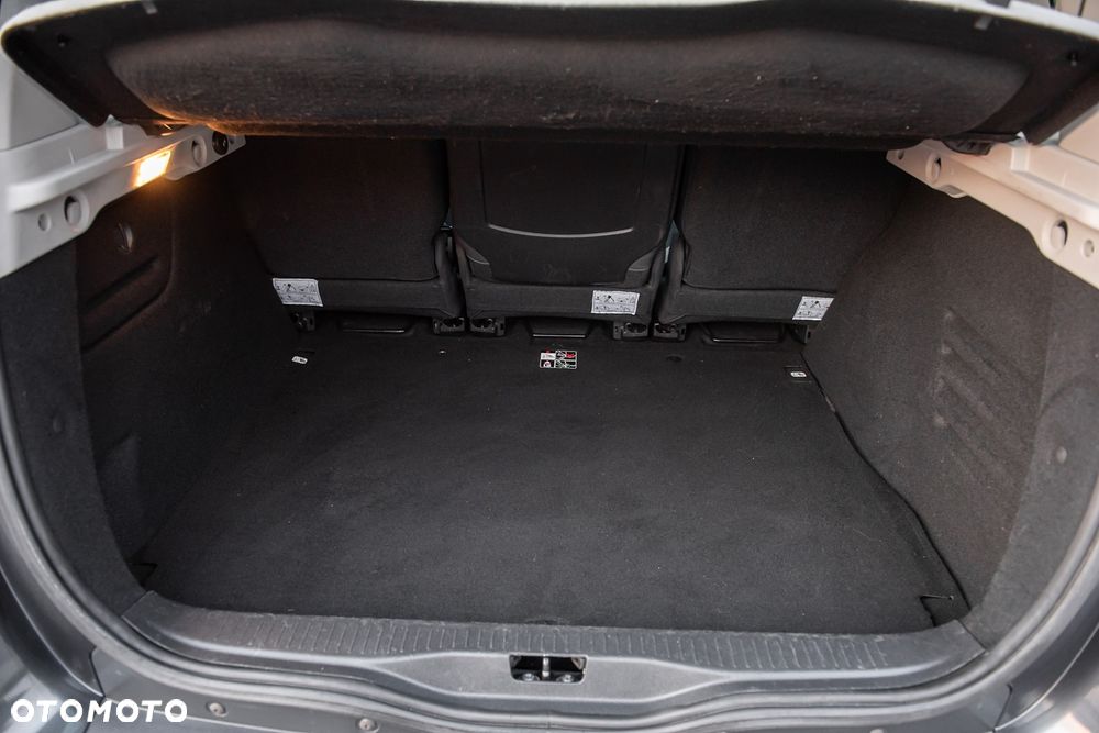 Renault Scenic - 25