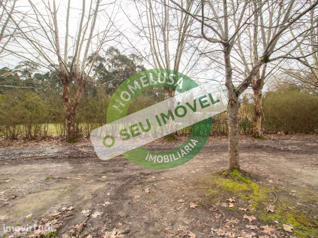 Lote Terreno - Grande imagem: 4/17