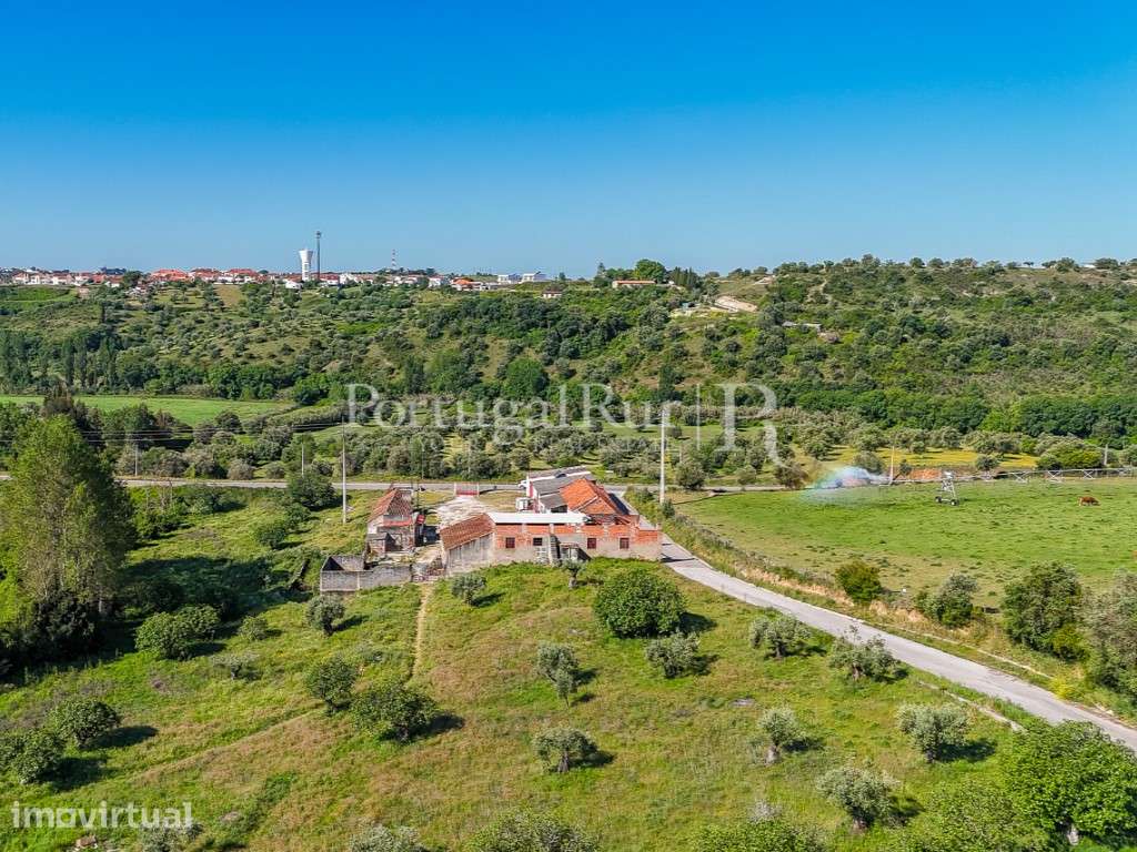 Conjunto de duas propriedades contíguas com 13 hectares, Torres Novas - Grande imagem: 4/49