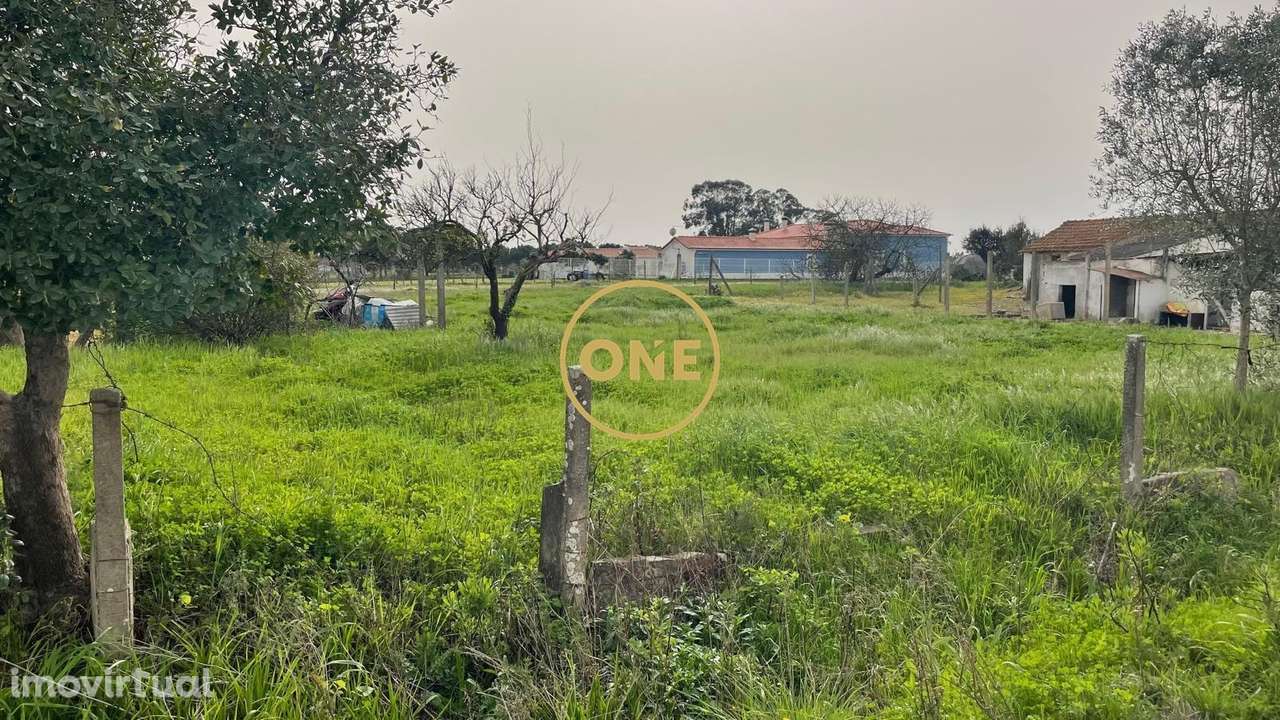 Excelente Terreno Granho - Grande imagem: 2/3