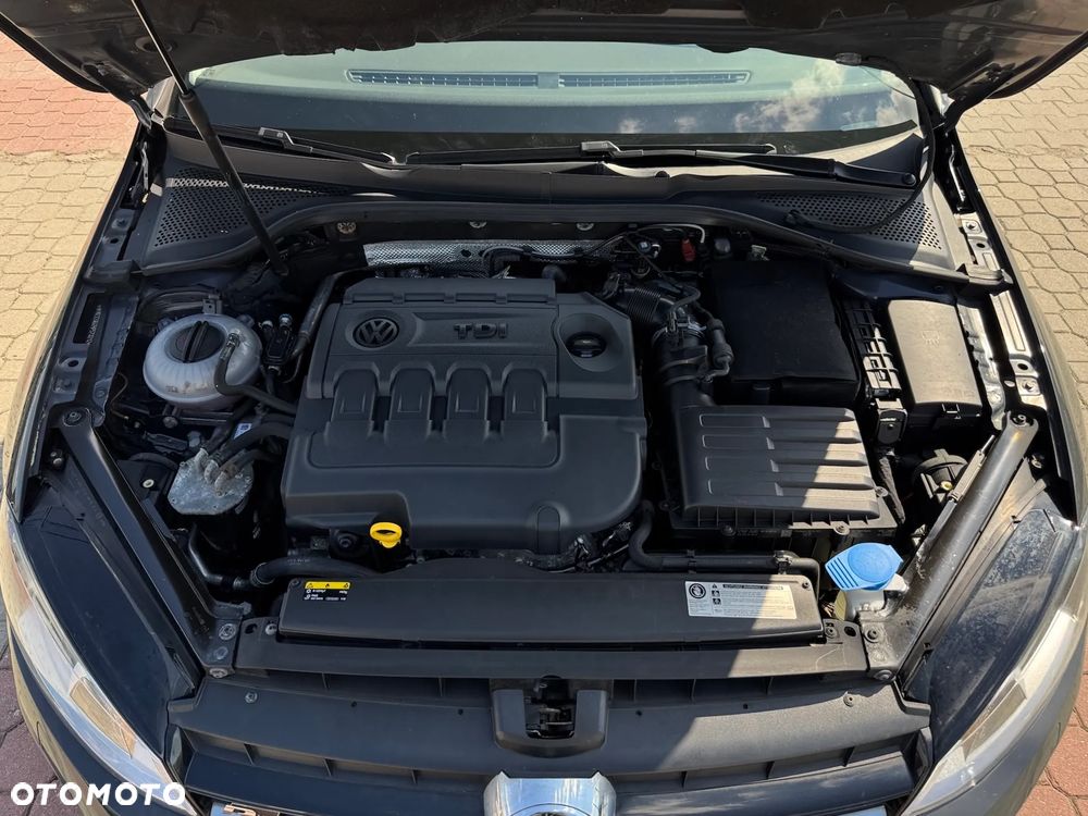 Volkswagen Golf - 11