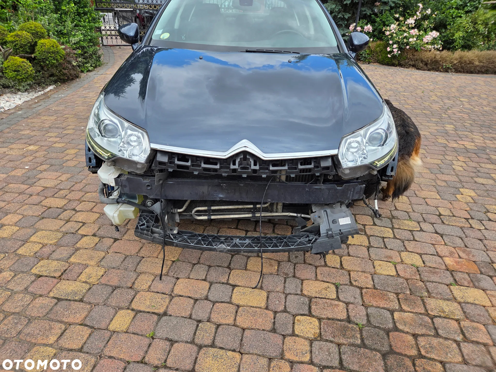 Citroën C5 HDi 165 FAP Exclusive - 16