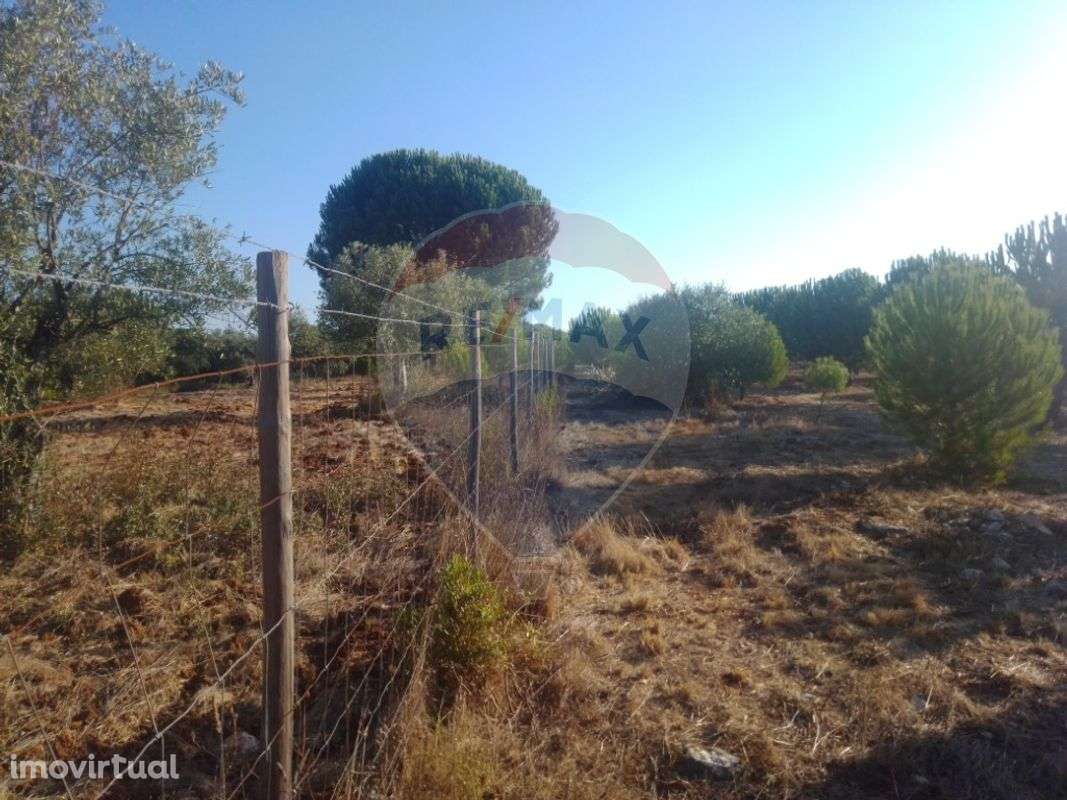 Terreno  para venda - Grande imagem: 3/9