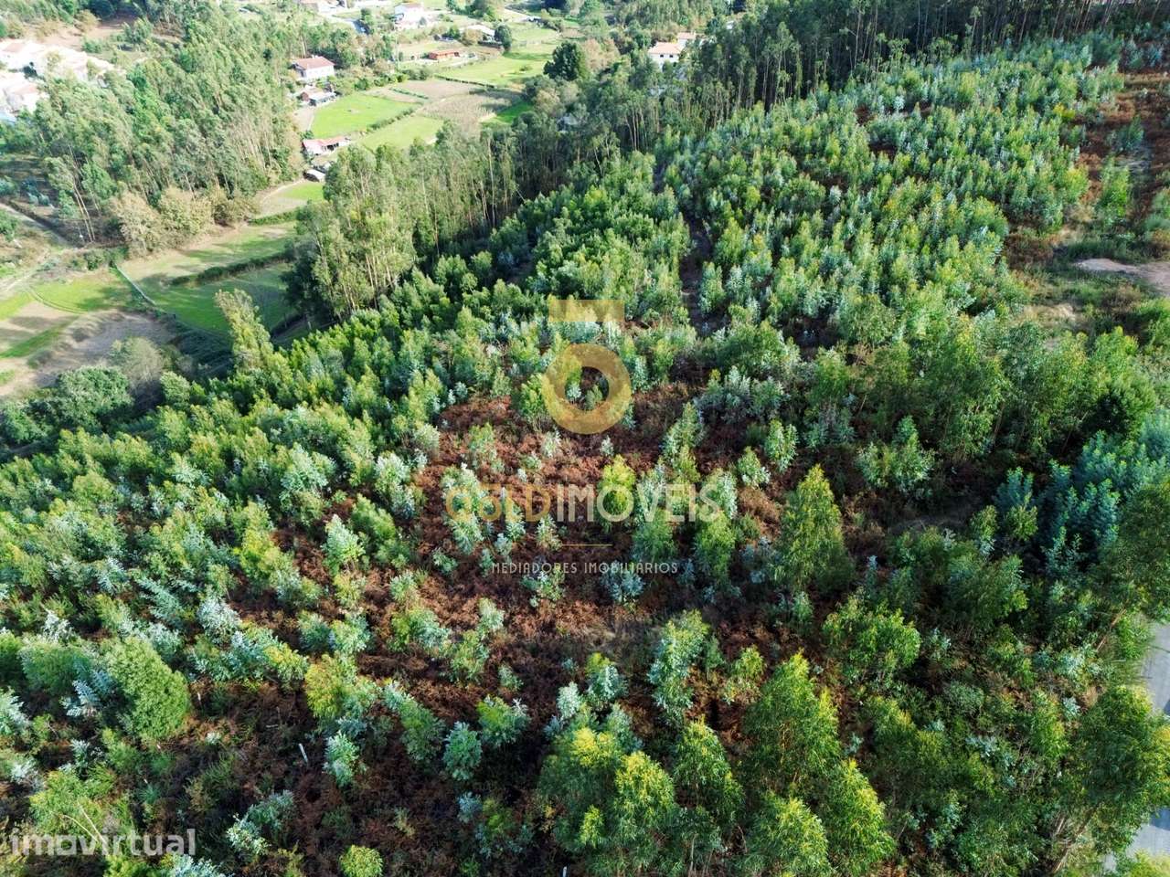 Terreno Rústico  Venda em São Roque,Oliveira de Azeméis - Grande imagem: 2/6