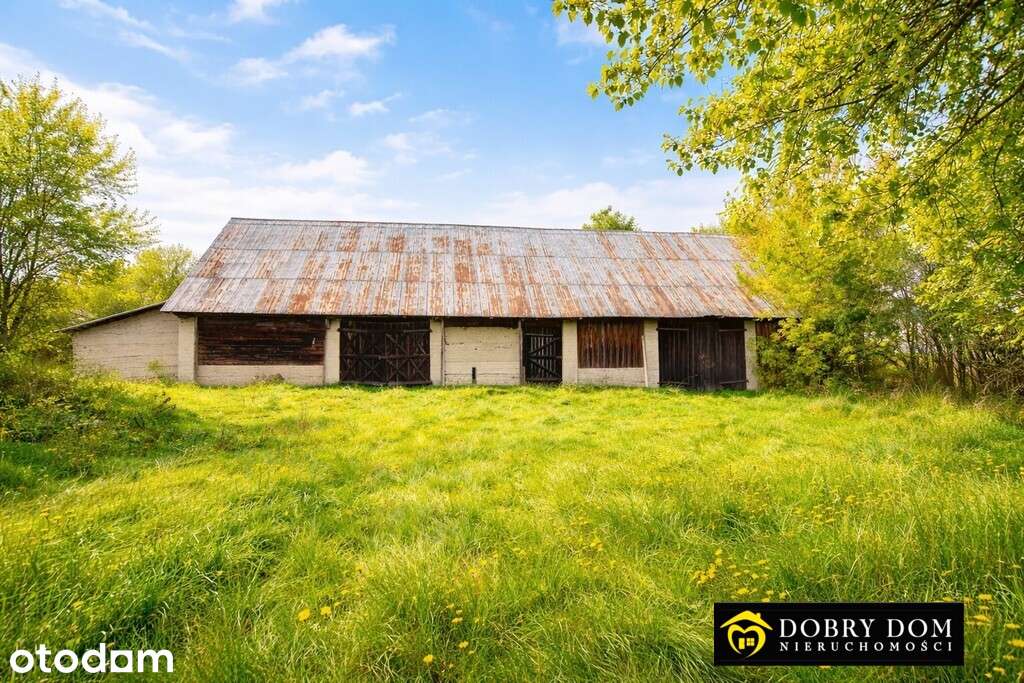 Siedlisko 2,6 ha - Pełny obrazek: 5/9