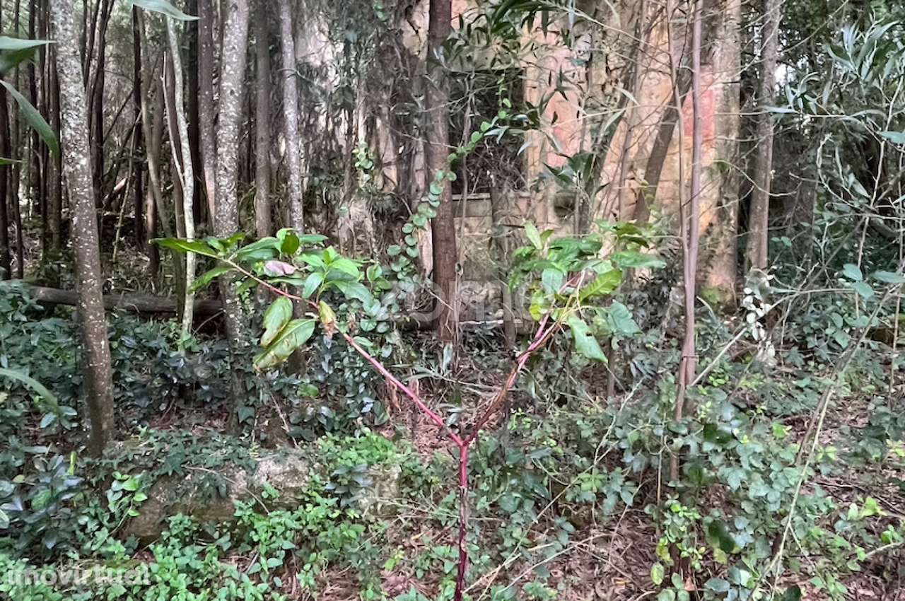 Terreno com 6.650 m² em Gondomar — Potencial 8 Terrenos por Destaqu... - Grande imagem: 4/10