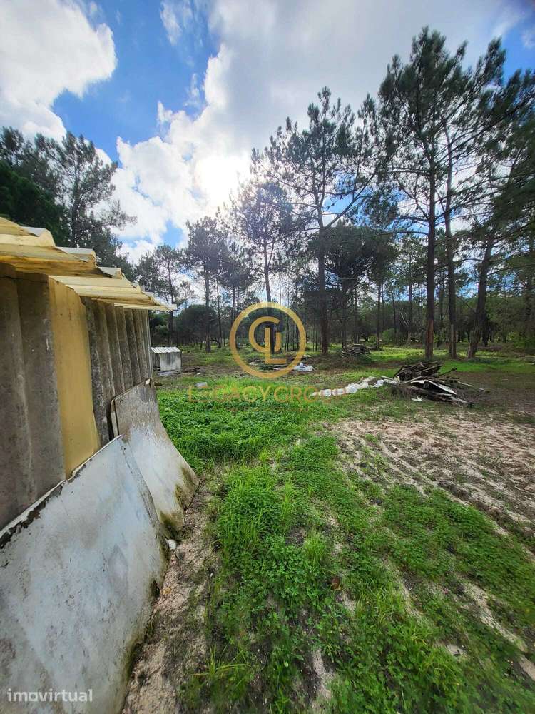 Terreno Industrial para investimento em Sines - Grande imagem: 3/18