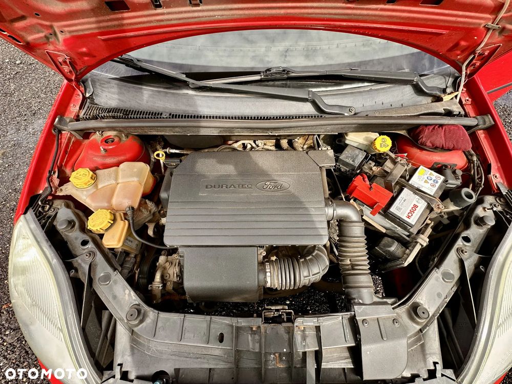 Ford Fiesta - 18