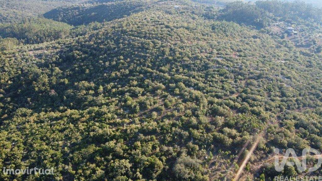 Terreno em Chãos de 14600,00 m2 - Grande imagem: 4/30