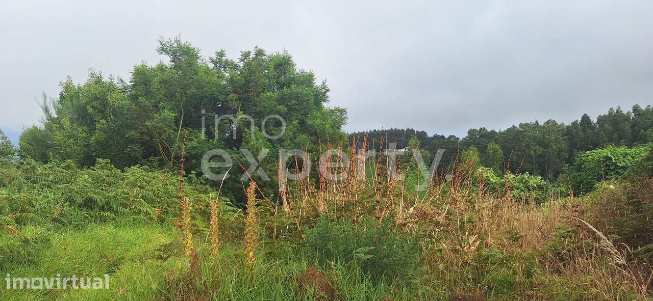 Terreno para construção em Lombada, Santa Cruz - Grande imagem: 5/15
