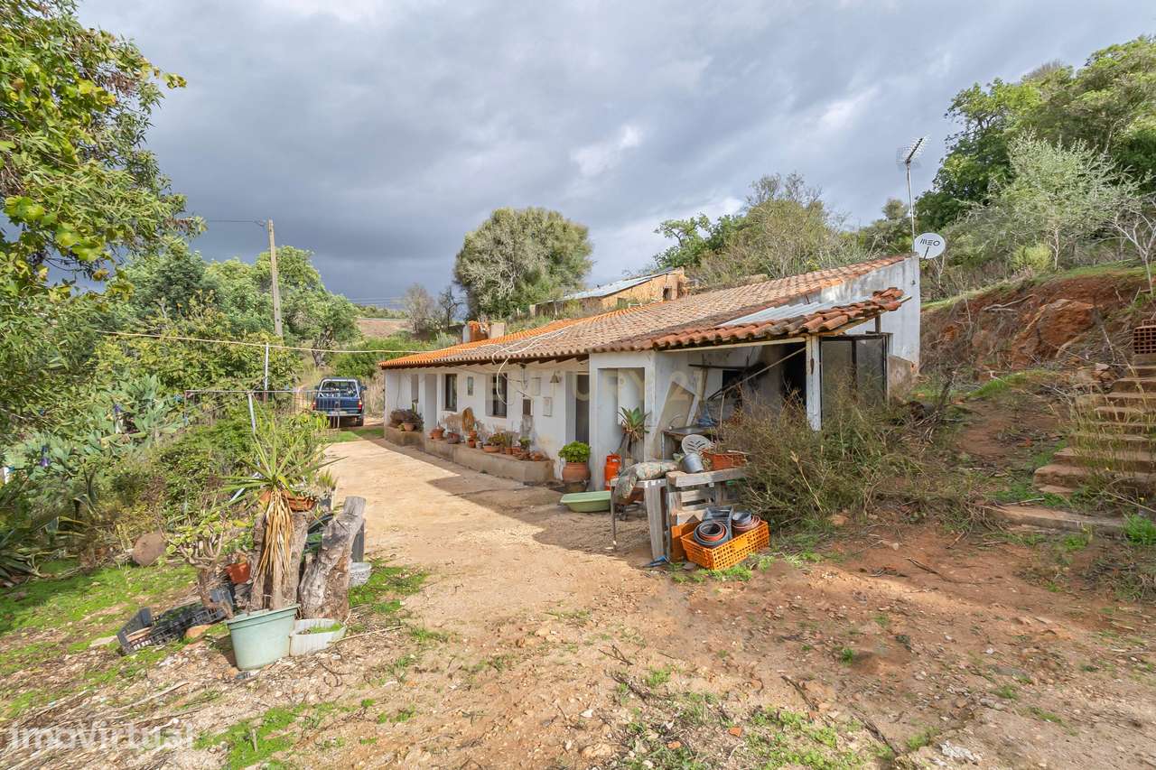 Terreno Misto com Moradia e Anexos – Oportunidade no Campo - Grande imagem: 3/32