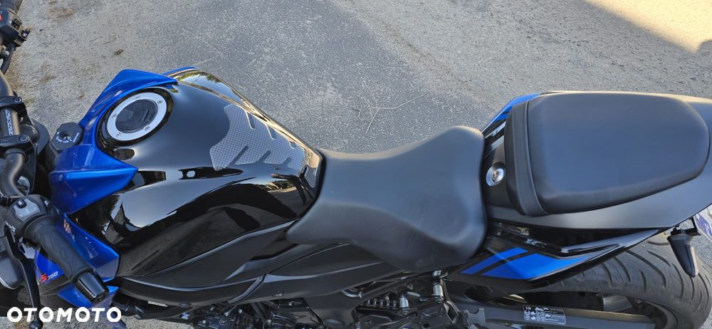 Suzuki GSX - 13