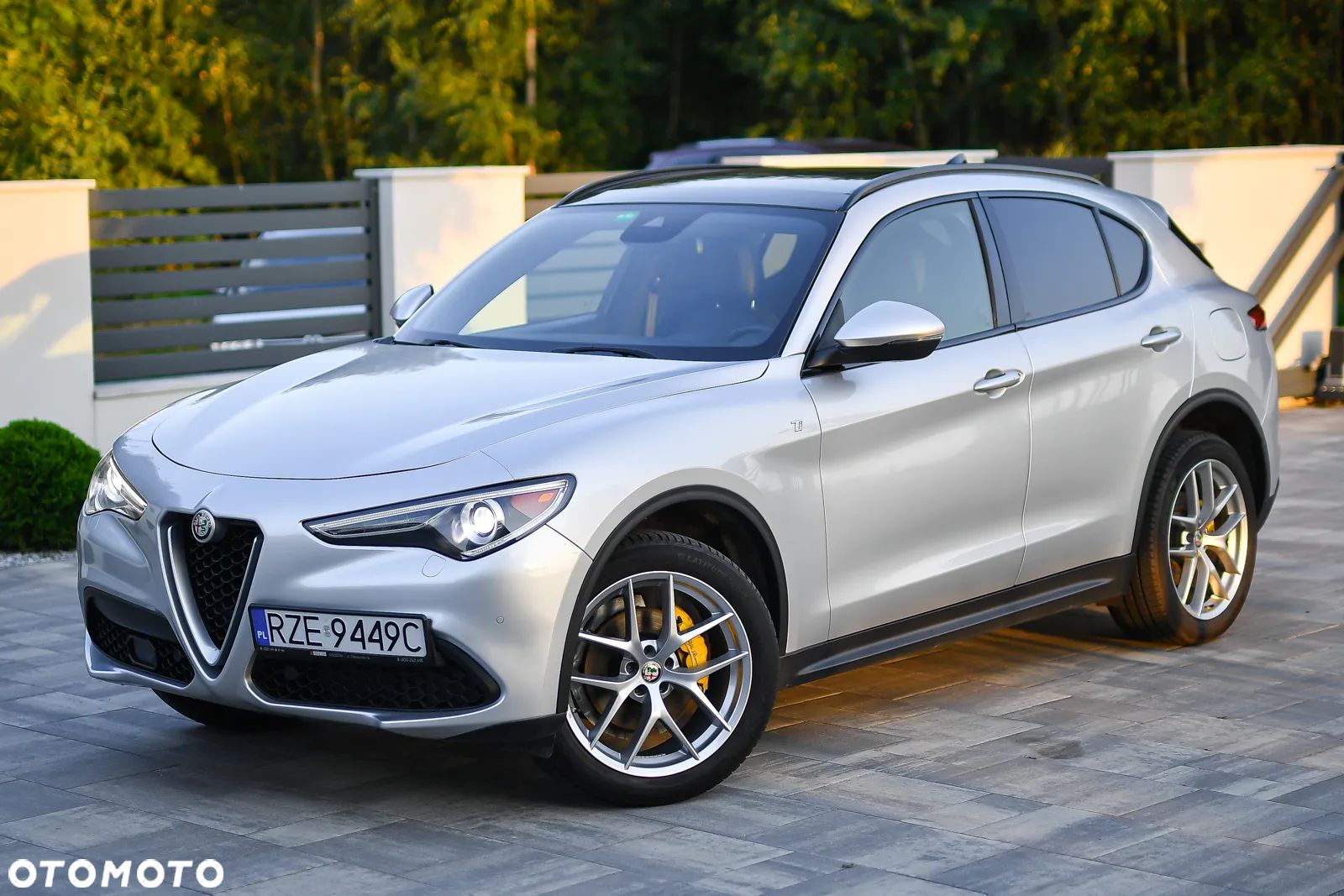 Alfa Romeo Stelvio 2.0 Turbo Veloce TI Q4 - 1