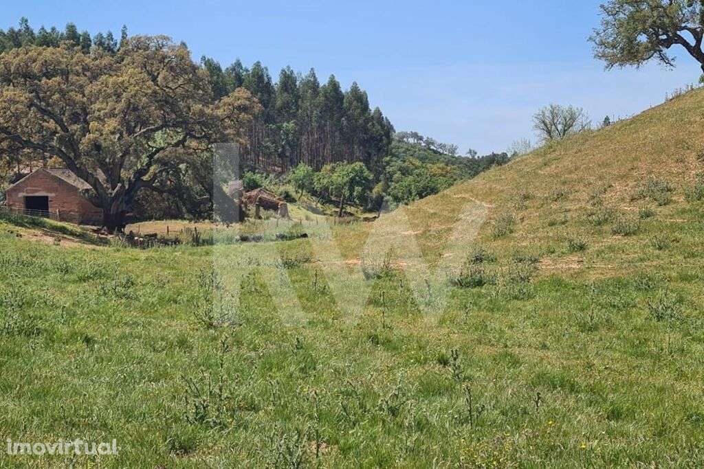 Herdade de 154 ha com ruína habitacional em Cubeiros de Cima, Relíquia - Grande imagem: 3/22