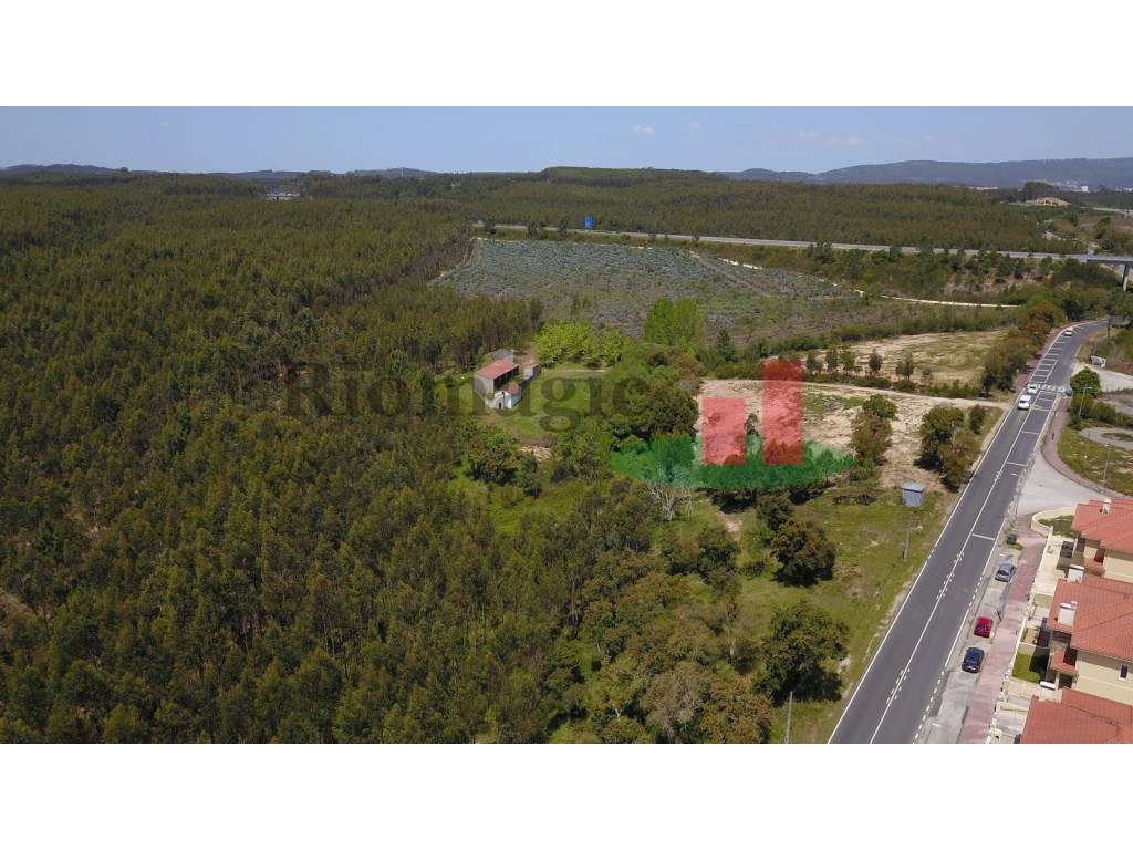 Terreno com Viabilidade de Construção em Asseiceira - Rio Maior***R... - Grande imagem: 3/14