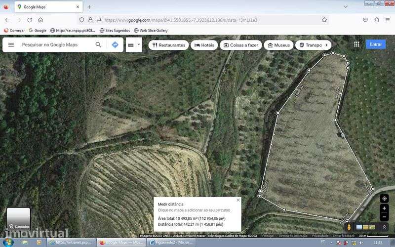 Terreno de cultivo Olival + Souto + zona de mato - Grande imagem: 3/4