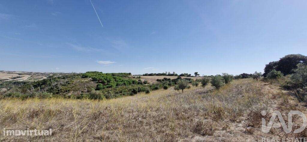 Terreno em Abitureiras de 17600,00 m2 - Grande imagem: 3/25