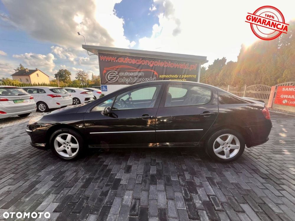 Peugeot 407 - 5
