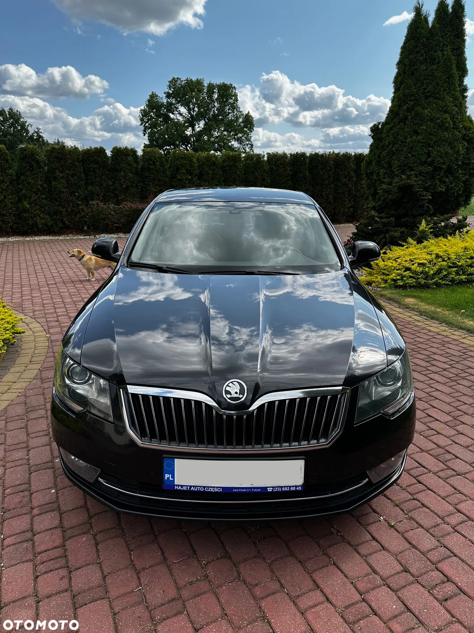 Skoda Superb 2.0 TDI 4x4 Ambition DSG - 4
